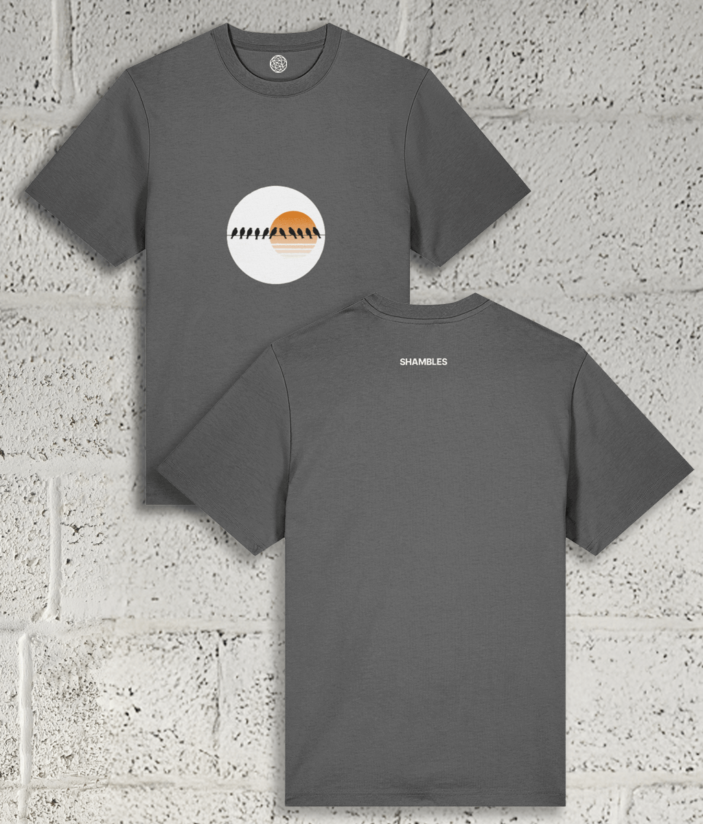Birds on a Wire Tee