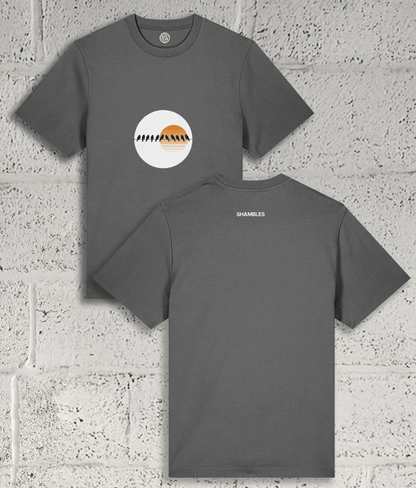Birds on a Wire Tee