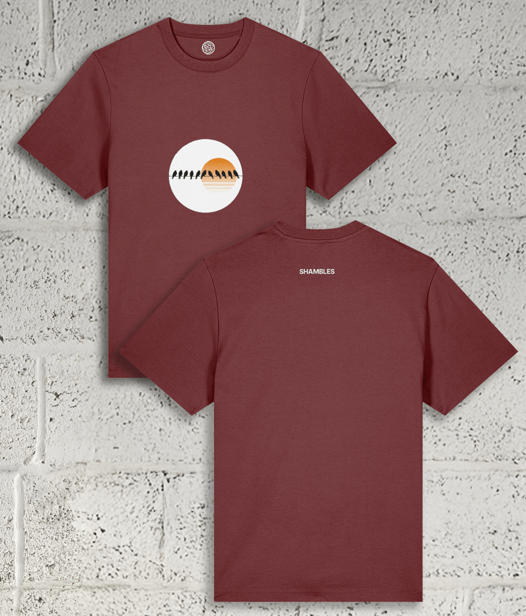 Birds on a Wire Tee