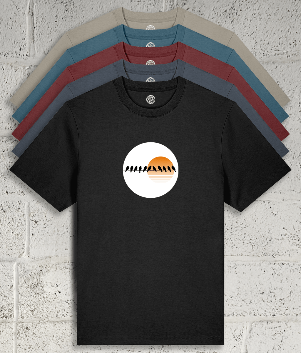 birds on a telegraph wire graphic tee showing 5 colour variants available