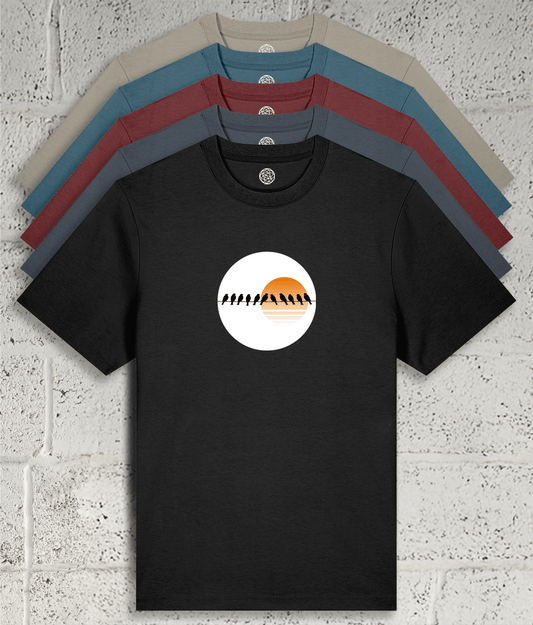 birds on a telegraph wire graphic tee showing 5 colour variants available