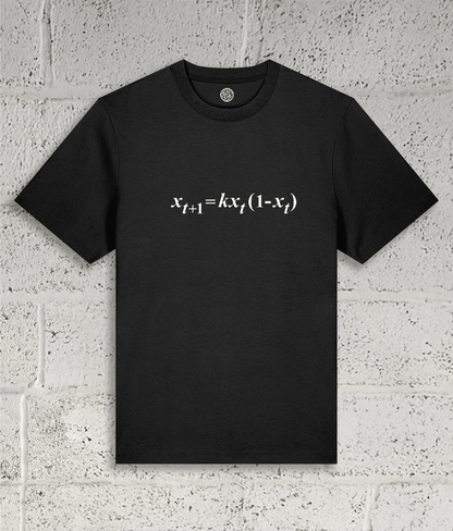 Front view of the Shambles Studio "chaos Theory" black t-shirt with equation graphic