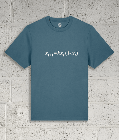 Front view of the Shambles Studio "chaos Theory" blue t-shirt with equation graphic
