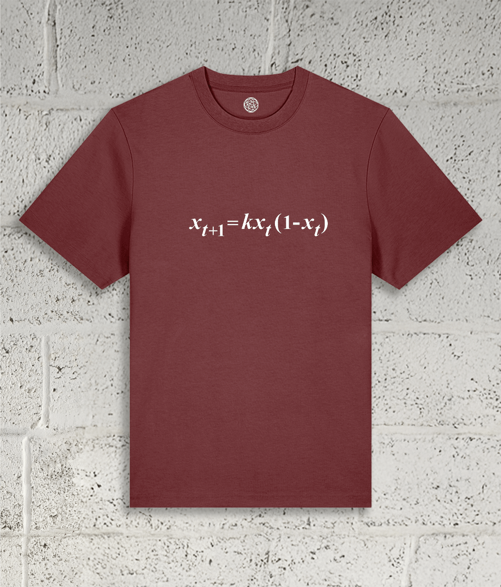 Front view of the Shambles Studio "chaos Theory" red t-shirt with equation graphic