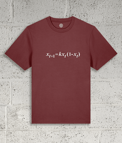Front view of the Shambles Studio "chaos Theory" red t-shirt with equation graphic
