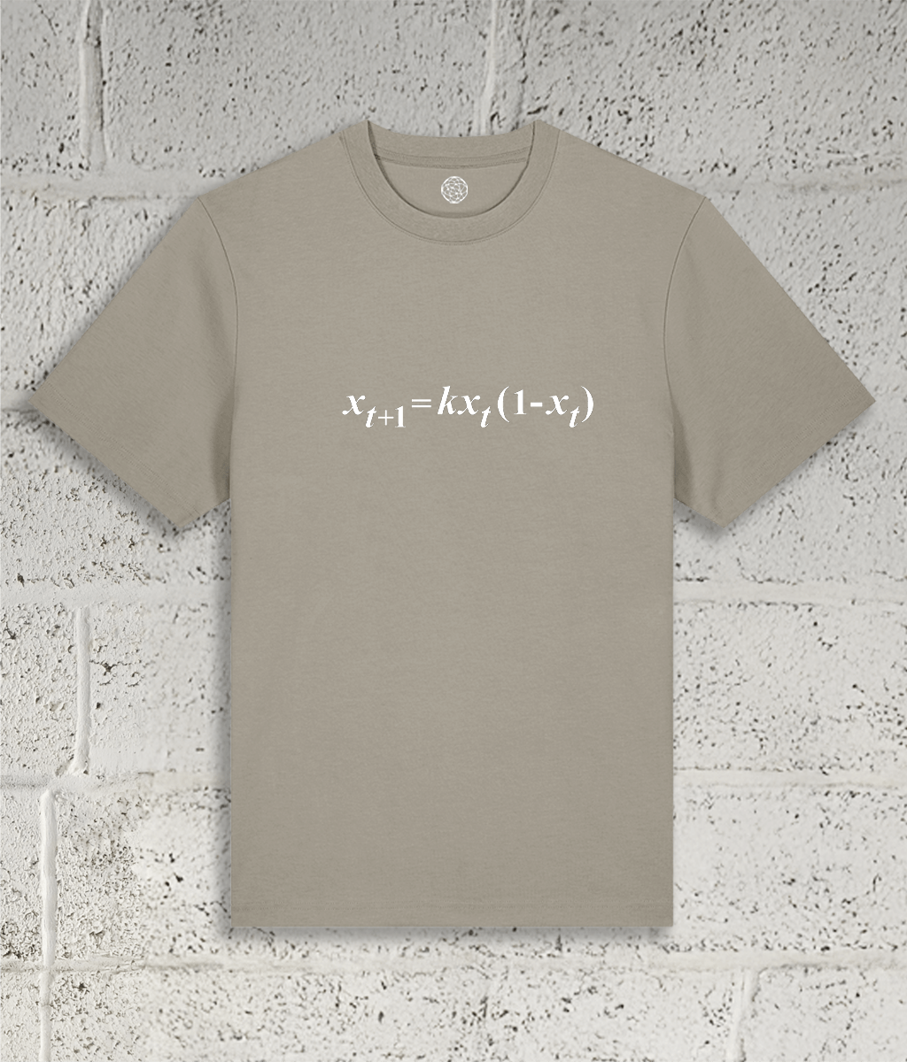 Front view of the Shambles Studio "chaos Theory" stone t-shirt with equation graphic