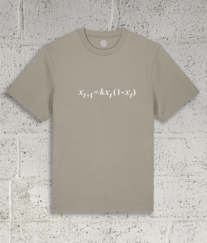 Front view of the Shambles Studio "chaos Theory" stone t-shirt with equation graphic