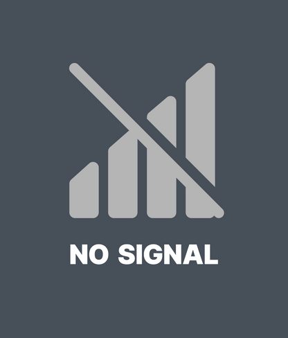 NO SIGNAL Tee