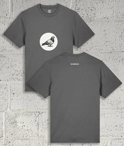 Pigeon Tee