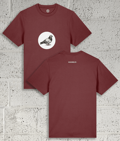 Pigeon Tee