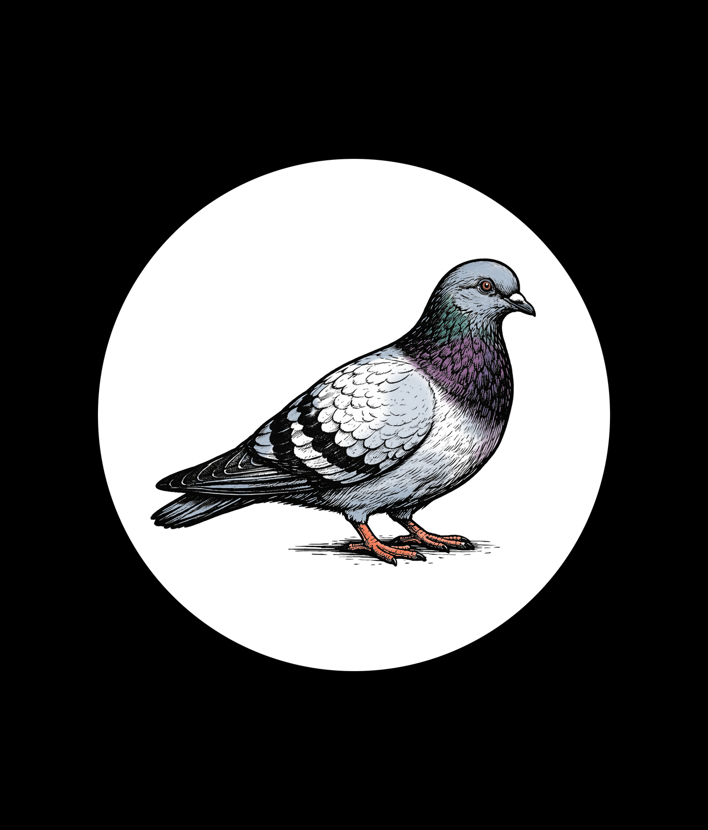 Pigeon Tee