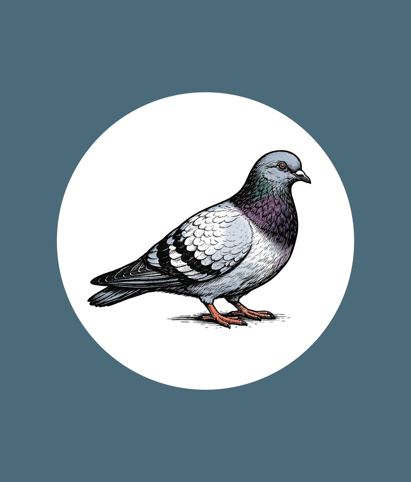 Pigeon Tee